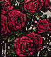 roses logo for AGDL
